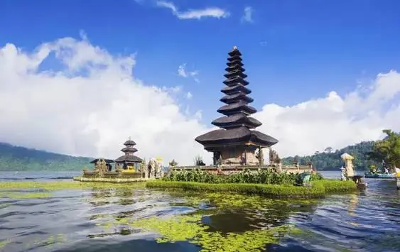 Ubud Rice Terraces Bali