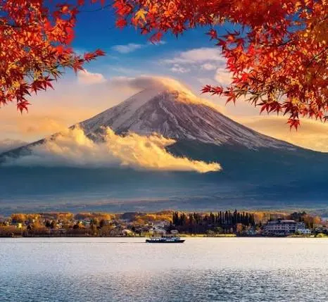 Mount Fuji with Cherry Blossoms Japan