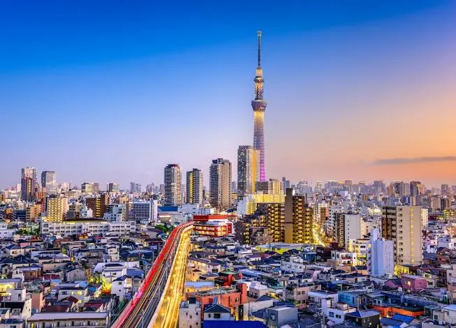 Tokyo Skyline at Night Japan
