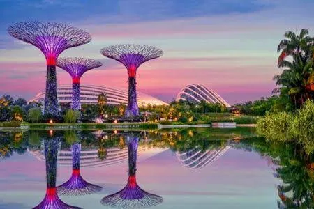 Gardens by the Bay Supertree Grove Singapore