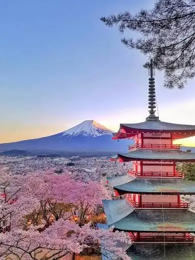 Japan Tour Package