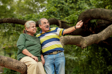 Senior Citizen Tour Packages